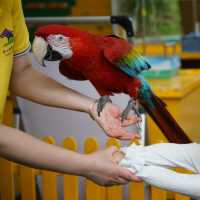 充滿驚喜的動物園