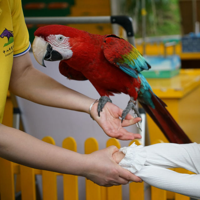 充滿驚喜的動物園