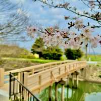 豊橋公園
