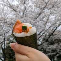 春の桜散歩と築地場外市場食べ歩き