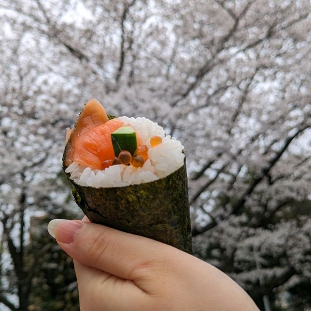 春の桜散歩と築地場外市場食べ歩き