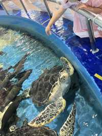 たった900円？！超絶楽しい水族館