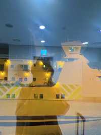 【釜山旅行】ニューカメリアで行く釜山の旅🚢
