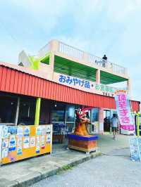 【宮古島】色鮮やかな海が美しい池間大橋！