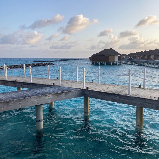 환상의 섬 몰디브!🏝️
