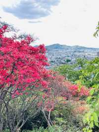 【男浅間神社/栃木県】足利富士を登れば、待つ絶景