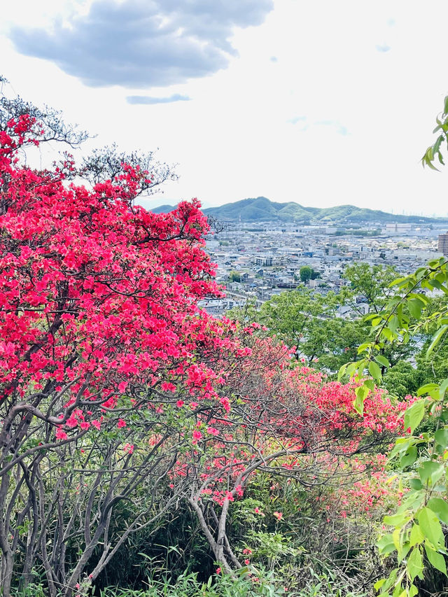 【男浅間神社/栃木県】足利富士を登れば、待つ絶景