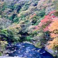 日本箱根 - 浪漫溫泉之旅