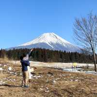 日本打卡｜小眾景點富士山休息站📍