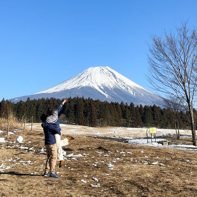 日本打卡｜小眾景點富士山休息站📍