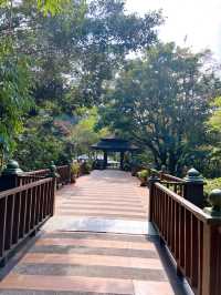 National Elephant Conservation Centre Kuala Gandah