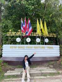 เดินป่ามือสมัยเล่นที่กิ่วแม่ปาน 