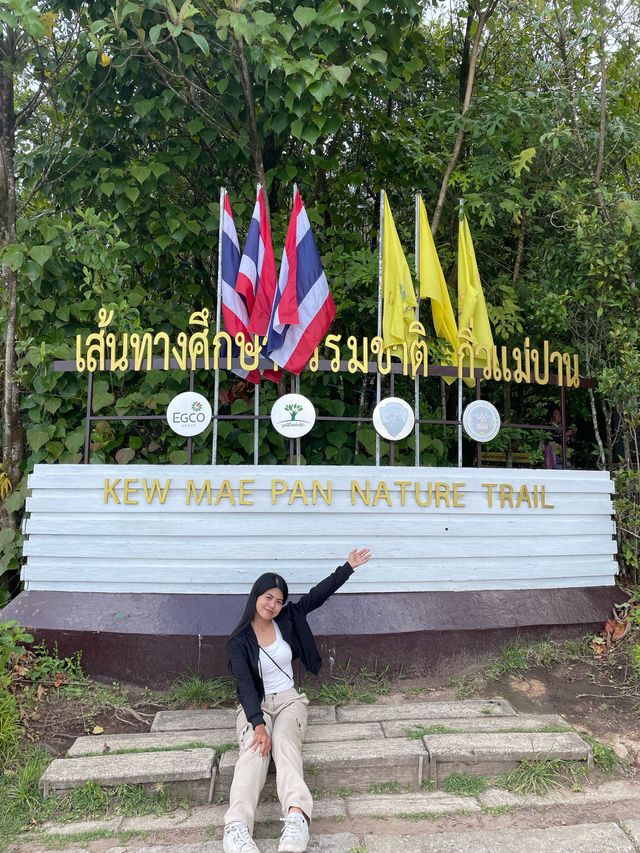 เดินป่ามือสมัยเล่นที่กิ่วแม่ปาน 