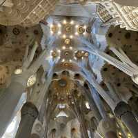 Sagrada Família – “The Forest and the Symphony of Light Within the Basilica”