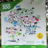 墨爾本動物園 Melbourne Zoo 