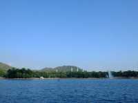 【春天好去處】「迪欣湖」：美人樹下野餐🧺，人生一大樂事‼️