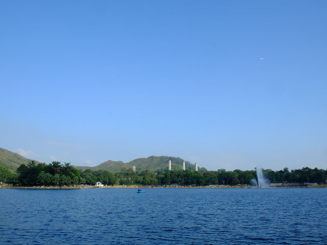 【春天好去處】「迪欣湖」：美人樹下野餐🧺，人生一大樂事‼️