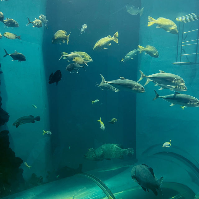 RAYONG AQUARIUM  