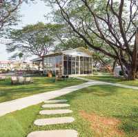 Big Tree Cafe