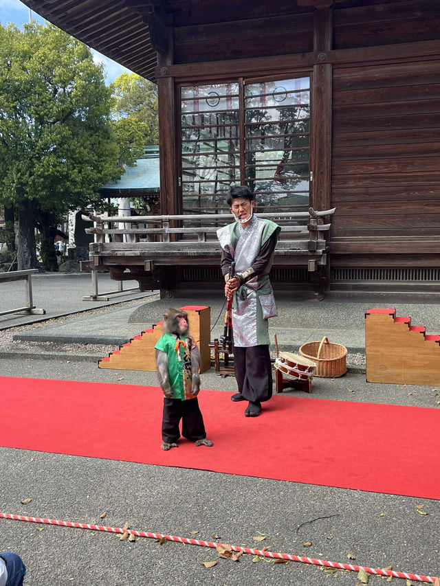 【福岡神社】日本一の大縄のある神社⛩光の道も有名なところです✨