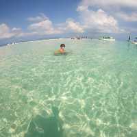 【石垣島】死ぬまでに行くべき幻の島🏝️