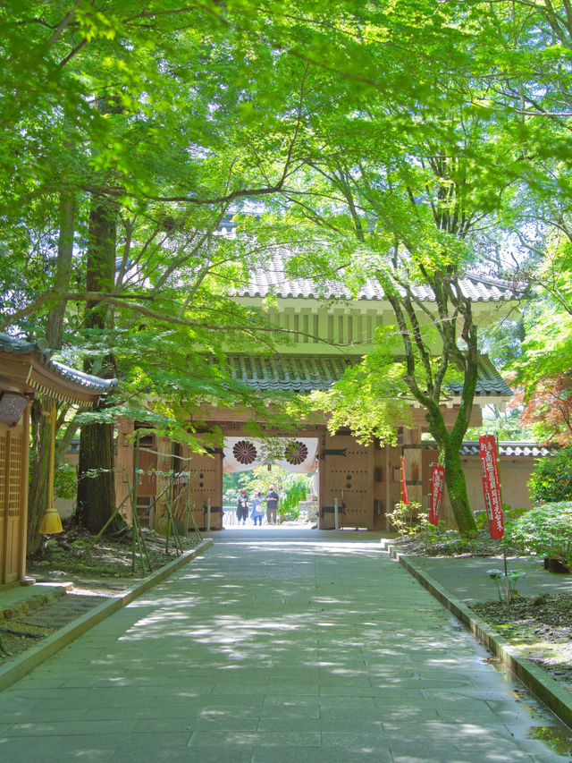 【静岡】期間限定‼️眼病平癒のご利益も✨ガラスと錫の風鈴の音色に癒される寺院を紹介🔍