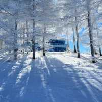 【札幌】比羅夫滑雪場：雪質優質，冬季必遊景點