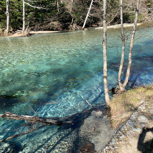 【長野県】この夏行きたい長野の人気スポット⛰