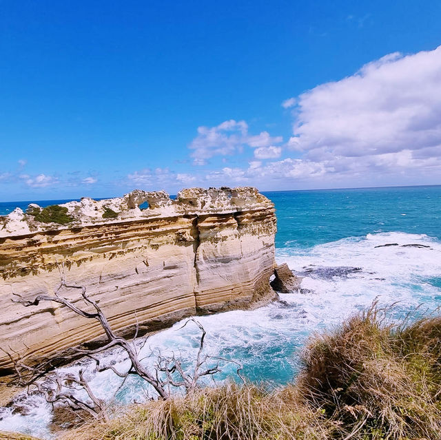 Awe-Inspiring Wonders: Twelve Apostles Leave Me Breathless