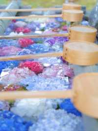 ここも無料⁉️そして穴場‼️紫陽花の花手水が美しいスポット✨