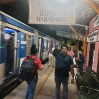 **Habarana Train Journey, Sri Lanka 🇱🇰** 