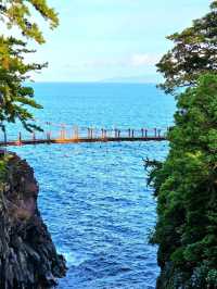 【静岡県/断崖絶壁を架ける橋】海の上を渡れる危険？！な場所が静岡にあった！