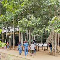 ต้นไม้ยักษ์ รักษ์หน้าฝน