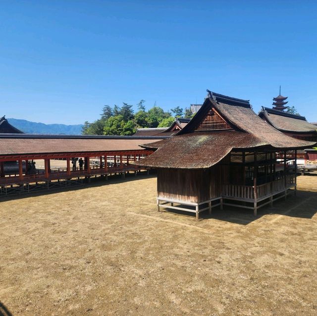 일본 삼대 절경 중 하나인 이츠쿠시마 신사를 가보자