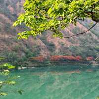 西勢水庫：清澈碧波、綠樹環抱，享受大自然的寧靜與舒適