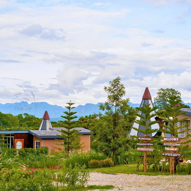 🏕️ฤดูภูเขา เชียงดาว