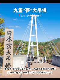 【大分】行ってよかった大分のおすすめスポット7選