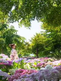 💚ハートの空と紫陽花が撮れる絶景カフェ☕✧