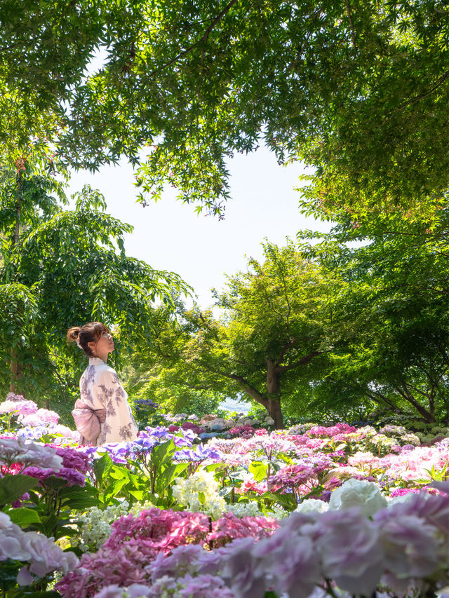 💚ハートの空と紫陽花が撮れる絶景カフェ☕✧