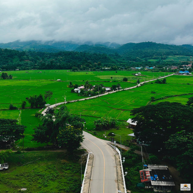 เมืองคอง เมืองคอง