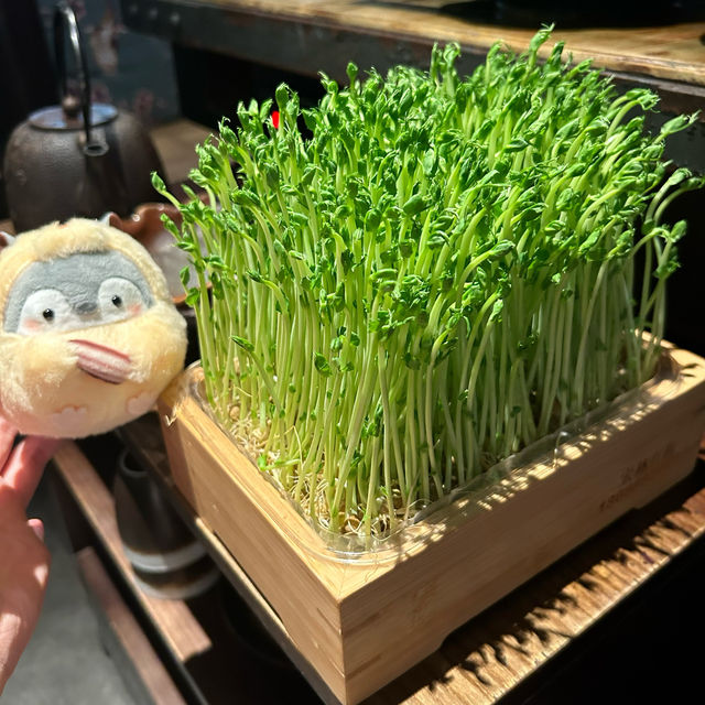 湊湊5 週年有驚喜