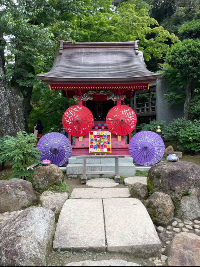 誰もが一度は見たい水中華🥰💠💐圧巻の紫陽花演出は必見！