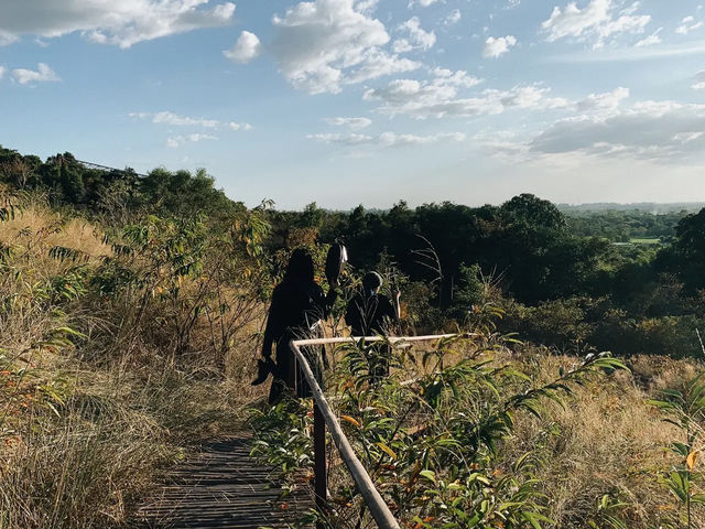 🌳จุดชมวิวเขาหล่น🍃 สะพานทุ่งนา 🌾