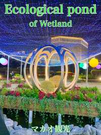 マカオ　マカオ観光　Ecological pond of Wetlandのお花畑ライトアップに感動した！