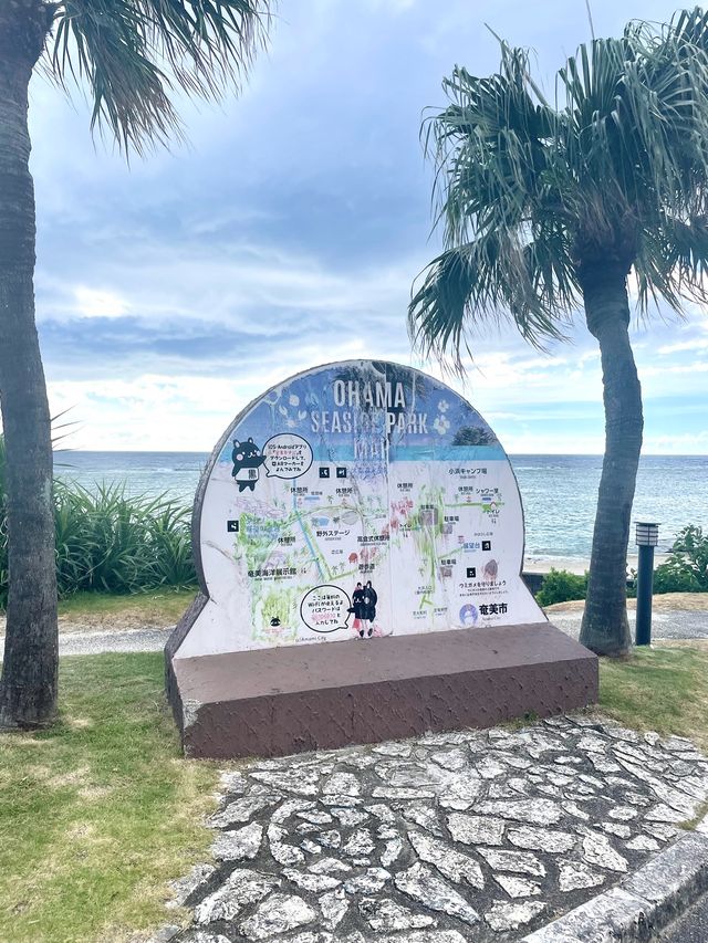 奄美大島　奄美の自然を感じる公園🌺