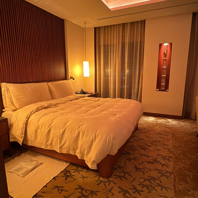 Japan trip 
