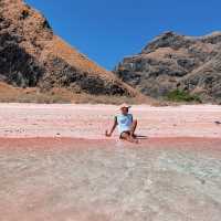 pink beach komodo island