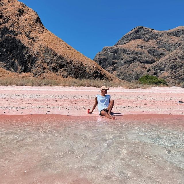 pink beach komodo island