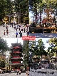 เที่ยว Nikko เมืองมรดกโลกในวันใบไม้เปลี่ยนสี 🍁⛩️