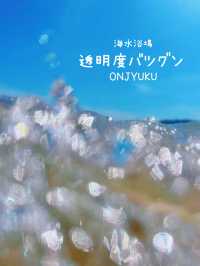 【千葉】夏におすすめ💙東京から2時間の楽園